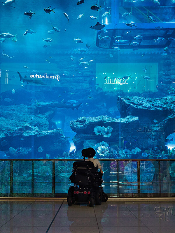 Tauche ein in ein barrierefreies Unterwassererlebnis im Dubai Aquarium.